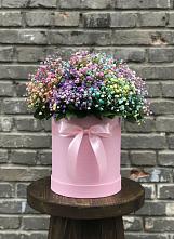 Цветочная композиция из Гипсофила и Розы в шляпной коробке #REPLACE_PRED# Шумячи