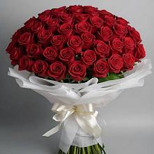 Букет 101 Красная роза Блэк Мэджик в Шумячи