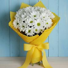 Букет цветов из:  Хризантемы в Шумячи