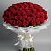Букет 101 Красная роза Блэк Мэджик в Шумячи