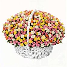 Премиум букет из: Розы в Шумячи