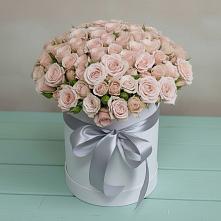 Цветочная композиция из Розы в шляпной коробке #REPLACE_PRED# Шумячи