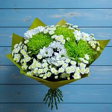 Букет цветов из:  Хризантемы #REPLACE_PRED# Шумячи