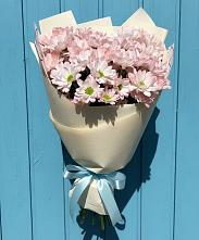 Букет цветов из:  Хризантемы в Шумячи