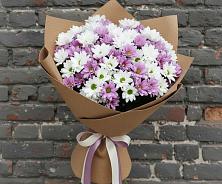 Букет цветов из:  Хризантемы #REPLACE_PRED# Шумячи