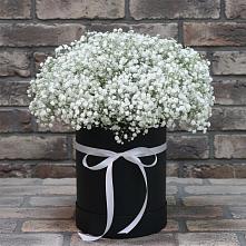 Цветочная композиция из Гипсофила в шляпной коробке #REPLACE_PRED# Шумячи