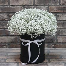 Цветочная композиция из Гипсофила в шляпной коробке в Шумячи