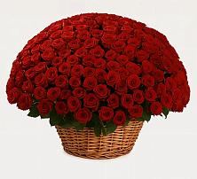 Премиум букет из: Розы #REPLACE_PRED# Шумячи