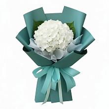 Букет цветов из:  Гортензия в Шумячи